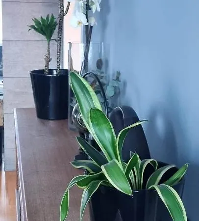 Lund - Exellent Privat overnatting